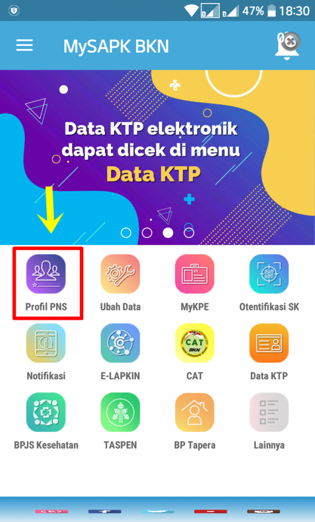 Menu Profil PNS