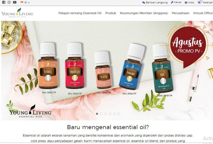 cara daftar young living