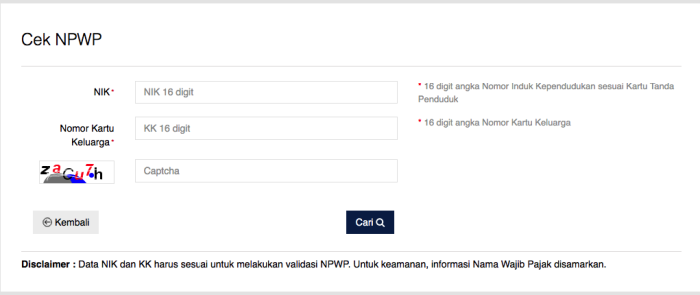 Cek NPWP